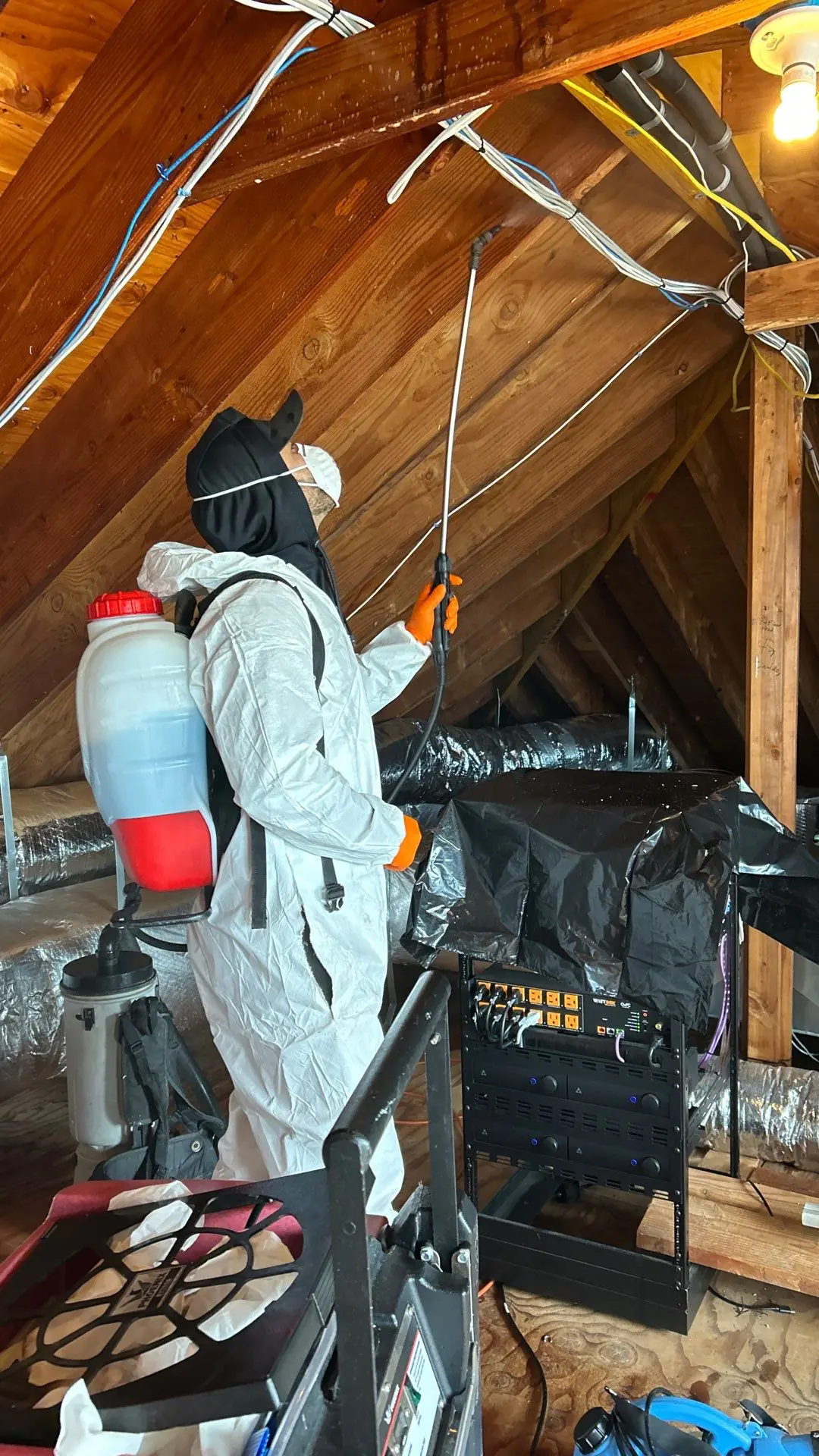 Technician treating an attic for mold
